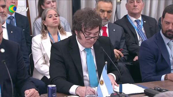 Milei exige apoyo del Mercosur para respaldar derechos de Argentina sobre las Malvinas - Sputnik Mundo