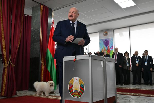 El actual mandatario bielorruso, Aleksandr Lukashenko, vota en las elecciones presidenciales en un colegio electoral en Minsk. El actual mandatario bielorruso, Aleksandr Lukashenko, vota en las elecciones presidenciales en un colegio electoral en Minsk. - Sputnik Mundo