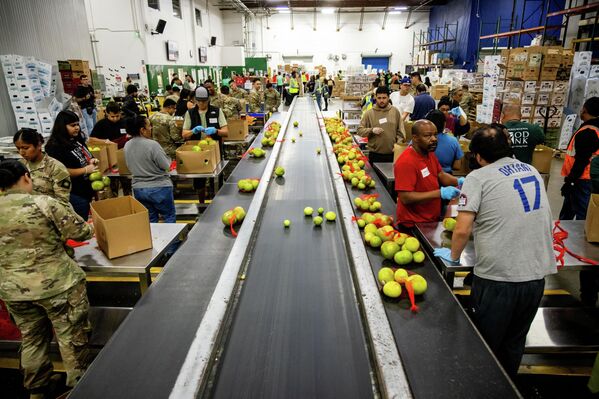 La Guardia Nacional de California clasifica productos agrícolas en el Banco de Alimentos Regional de Los Ángeles, el 29 de octubre de 2025. La Guardia Nacional de California clasifica productos agrícolas en el Banco de Alimentos Regional de Los Ángeles, el 29 de octubre de 2025. - Sputnik Mundo