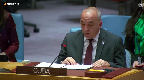 EEUU solo persigue aislar internacionalmente a la Revolución Bolivariana, acusa Cuba ante la ONU - Sputnik Mundo