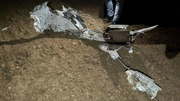 Fallo técnico habría causado la caída de avión en el que viajaba el jefe del Ejército libio, según información preliminar - Sputnik Mundo