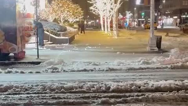 Estado de emergencia en EEUU: la mayor nevada en tres años paraliza Nueva York - Sputnik Mundo