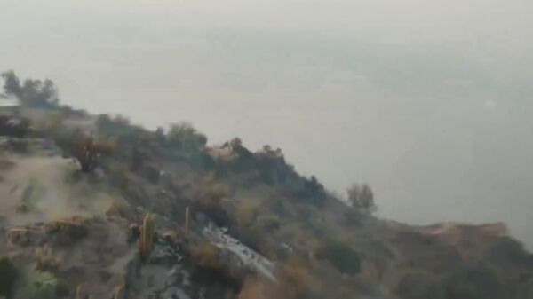 Incendio forestal en Chile central lleva quemadas hasta 800 hectáreas, informan los bomberos - Sputnik Mundo