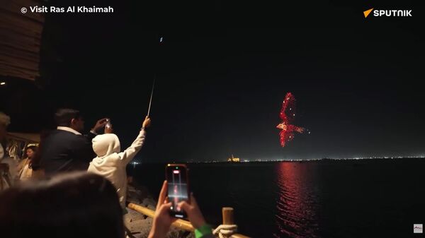 Cuento árabe: seis kilómetros de pura magia marcan el Año Nuevo en los EAU - Sputnik Mundo