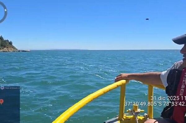 Rescatan a ballena jorobada que quedó varada en Chile Rescatan a ballena jorobada que quedó varada en Chile - Sputnik Mundo