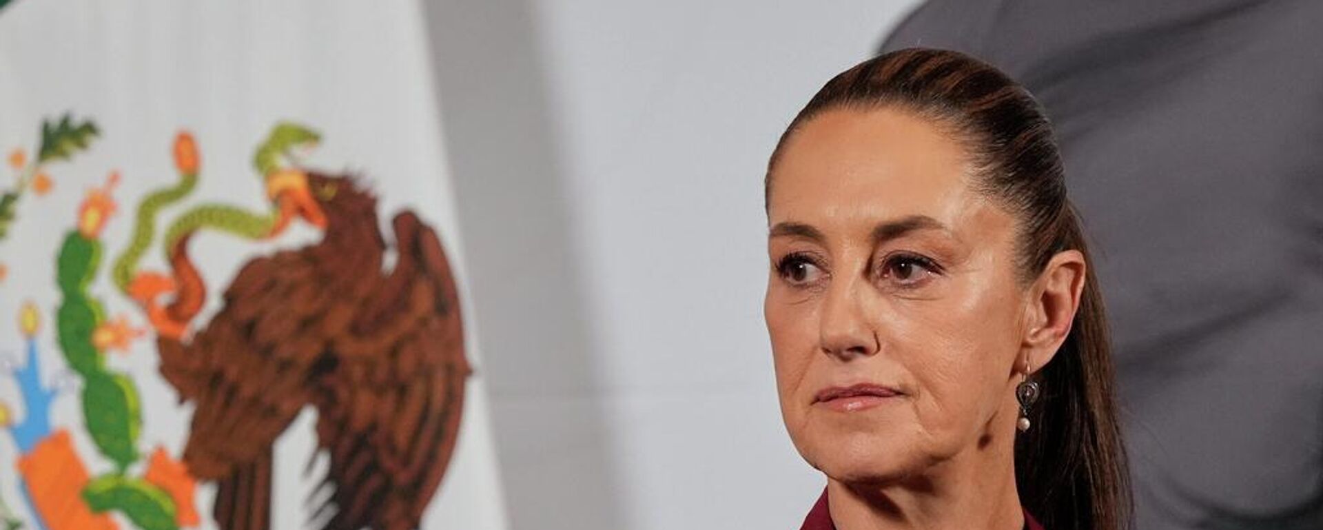 La presidenta de México, Claudia Sheinbaum. - Sputnik Mundo, 1920, 04.01.2026