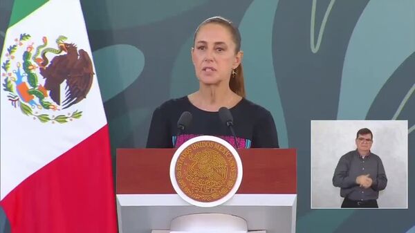 Vamos a estrechar la comunicación: Sheinbaum solicita a Cancillería contactar a Rubio tras nuevos anuncios de Trump sobre combate a cárteles - Sputnik Mundo