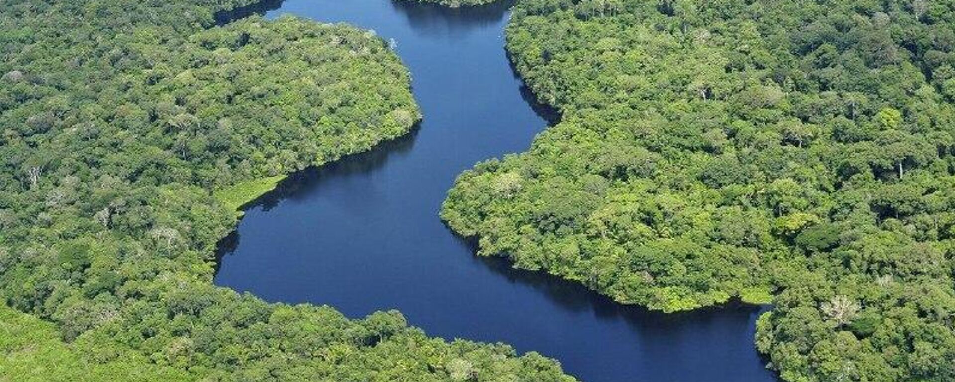 🪚 Deforestación en la Amazonía brasileña disminuyó cerca del 9% en 2025, según cifras oficiales - Sputnik Mundo, 1920, 10.01.2026