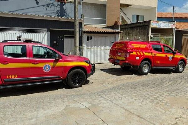 Salió de su casa ¡y vio un ocelote! - Sputnik Mundo