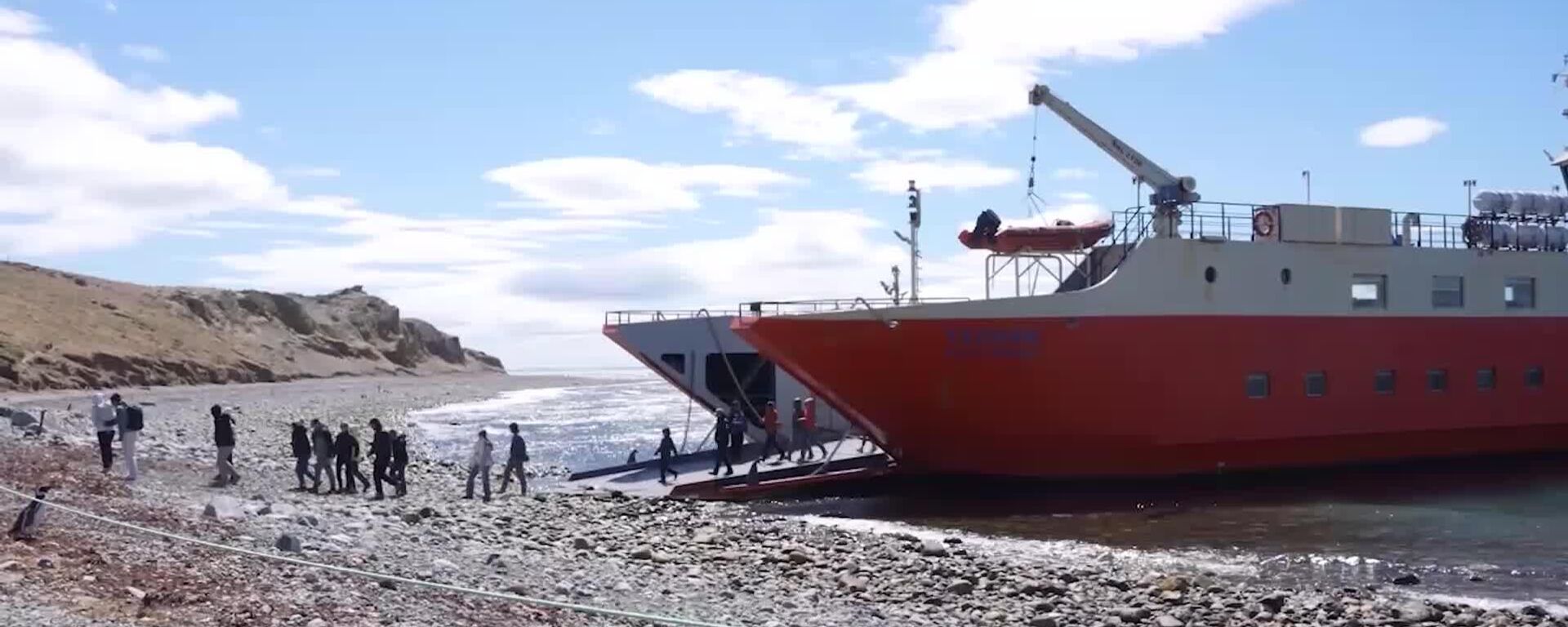 Pingüinos extraordinarios atraen a miles de turistas a la isla Magdalena de Chile - Sputnik Mundo, 1920, 11.01.2026