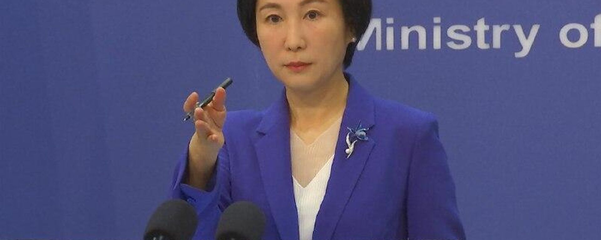 América Latina tiene el derecho a elegir a sus socios, aseguran desde la Cancillería china - Sputnik Mundo, 1920, 12.01.2026