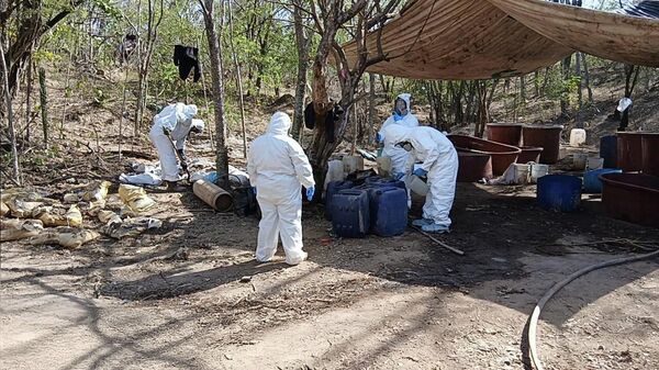 Autoridades mexicanas aseguran 700 kilos de metanfetaminas - Sputnik Mundo