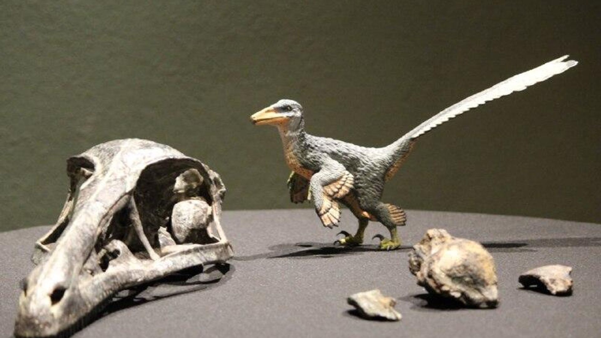 Descubren a un nuevo dinosaurio en México Descubren a un nuevo dinosaurio en México - Sputnik Mundo, 1920, 14.01.2026