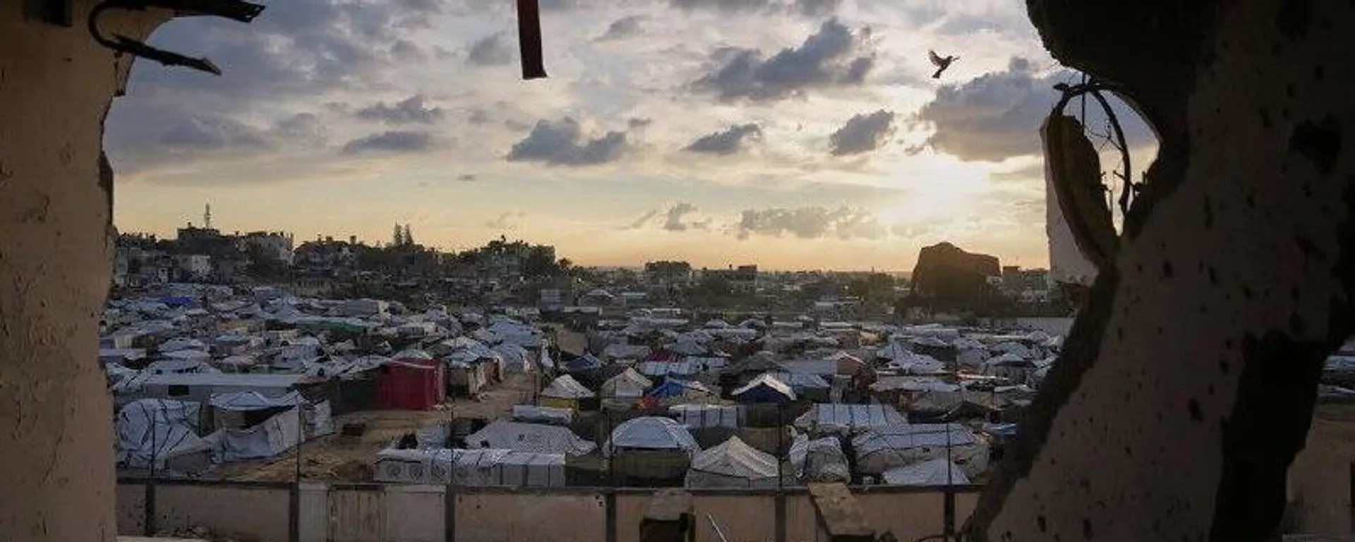 EEUU anuncia la fase 2 del plan de Trump para la Franja de Gaza EEUU anuncia la fase 2 del plan de Trump para la Franja de Gaza - Sputnik Mundo, 1920, 23.01.2026