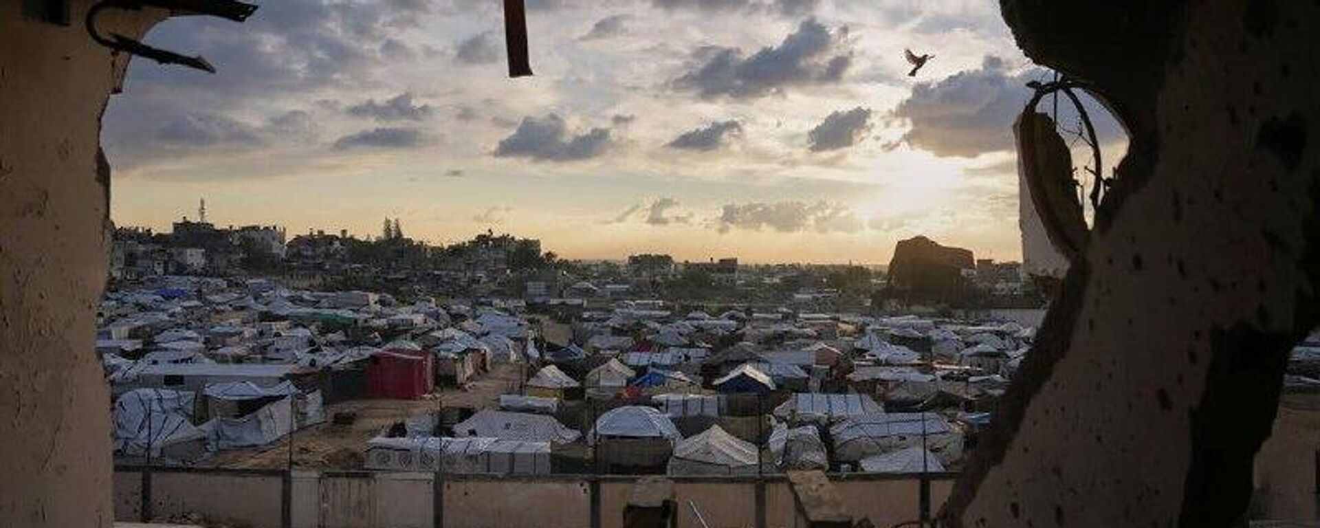 EEUU anuncia la fase 2 del plan de Trump para la Franja de Gaza - Sputnik Mundo, 1920, 23.01.2026