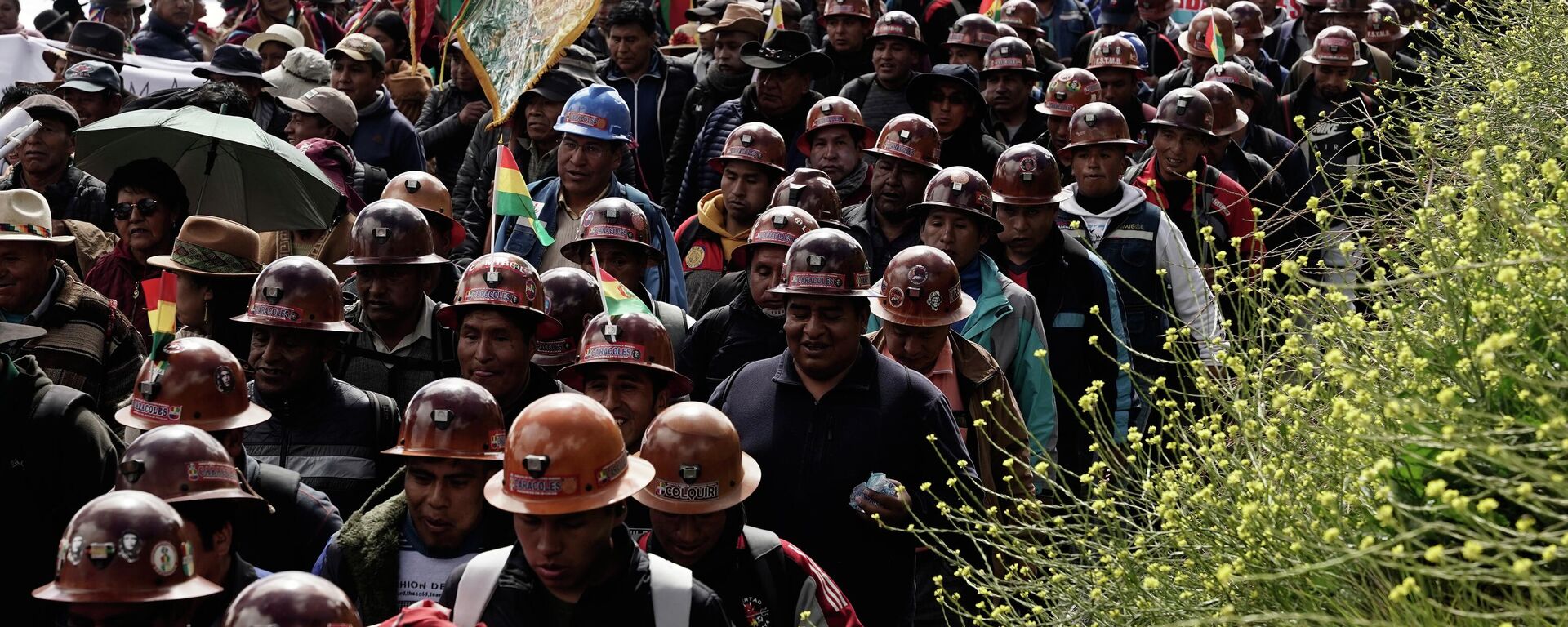 Integrantes de la Unión de Trabajadores Bolivianos marcahn en protesta al decreto 5503, que eliminó la subvención a los combustibles (archivo) - Sputnik Mundo, 1920, 16.01.2026