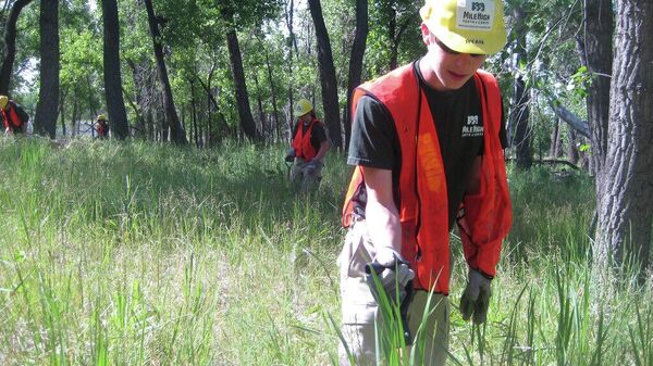 Desempleo juvenil triplica al de adultos en América Latina, alerta la ONU - Sputnik Mundo