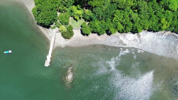 Turismo en Costa Rica reporta un ligero crecimiento en 2025, impulsado por América Latina y EEUU - Sputnik Mundo