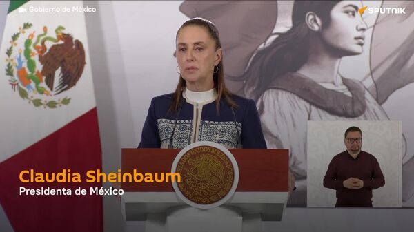 🪖 Avión militar de EEUU no transportaba tropas, afirma Sheinbaum - Sputnik Mundo