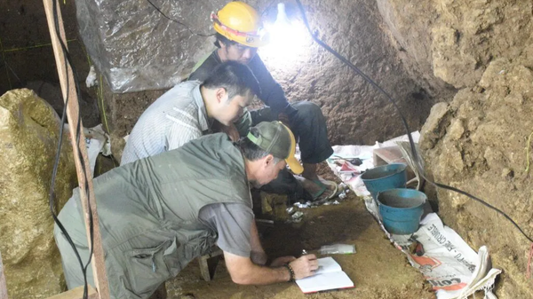 Investigadores de la Universidad Griffith, en Australia - Sputnik Mundo