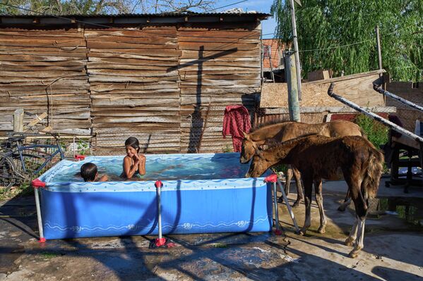 Niños bañándose en una piscina mientras los caballos sacian su sed, Buenos Aires. - Sputnik Mundo