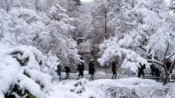 El Gobierno de EEUU coordina acciones de atención ante la tormenta invernal en el país - Sputnik Mundo