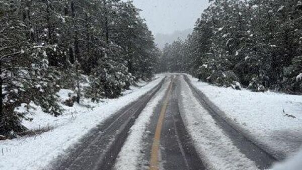 México también emite alerta en la zona norte del país por la tormenta invernal - Sputnik Mundo