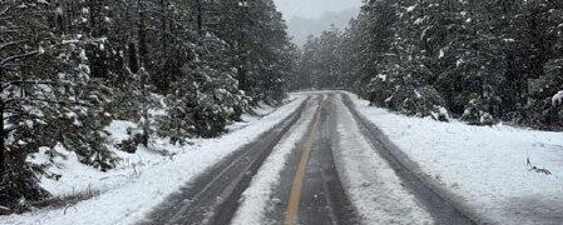 México también emite alerta en la zona norte del país por la tormenta invernal - Sputnik Mundo, 1920, 24.01.2026