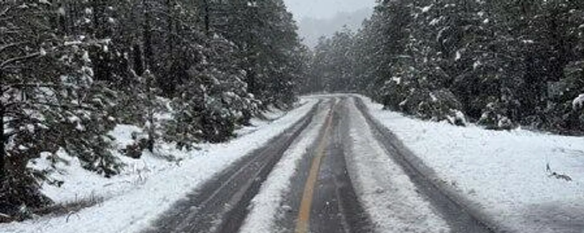 México también emite alerta en la zona norte del país por la tormenta invernal - Sputnik Mundo, 1920, 24.01.2026