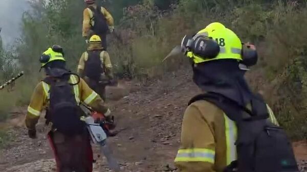 Van más de 42 - Sputnik Mundo