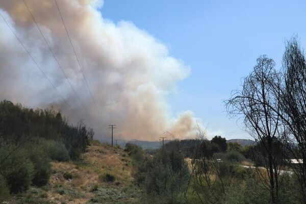 Van más de 42 - Sputnik Mundo