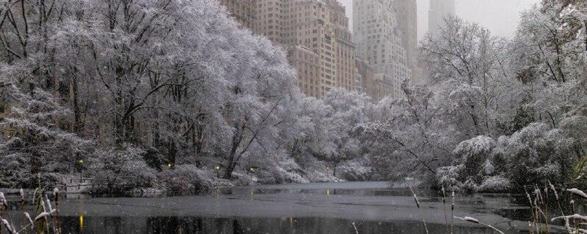 Hallan a tres personas sin vida en Nueva York ante las bajas temperaturas que azotan a EEUU - Sputnik Mundo, 1920, 25.01.2026