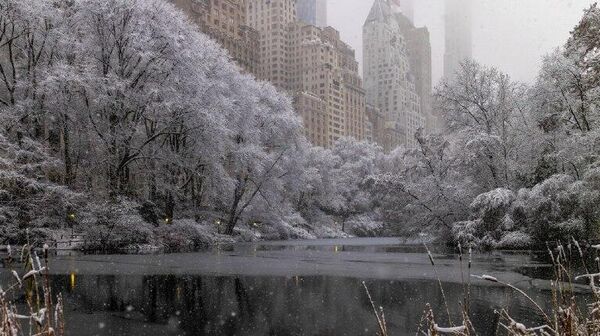 Hallan a tres personas sin vida en Nueva York ante las bajas temperaturas que azotan a EEUU - Sputnik Mundo