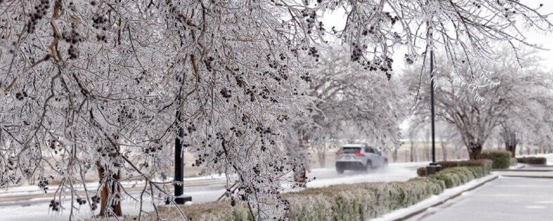 Un apagón masivo deja sin luz a unos 130 - Sputnik Mundo, 1920, 25.01.2026