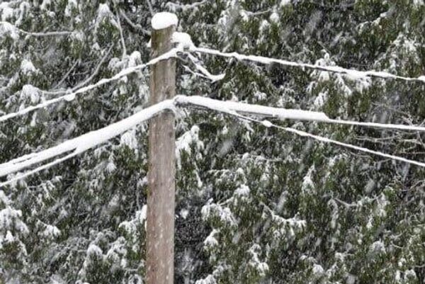 Tormenta invernal en EEUU dispara el precio de la electricidad - Sputnik Mundo