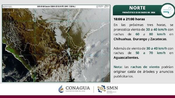 Cierran un puerto al norte de México por los fuertes vientos - Sputnik Mundo