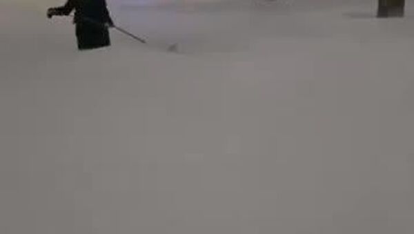 Nevada cubre Toronto - Sputnik Mundo