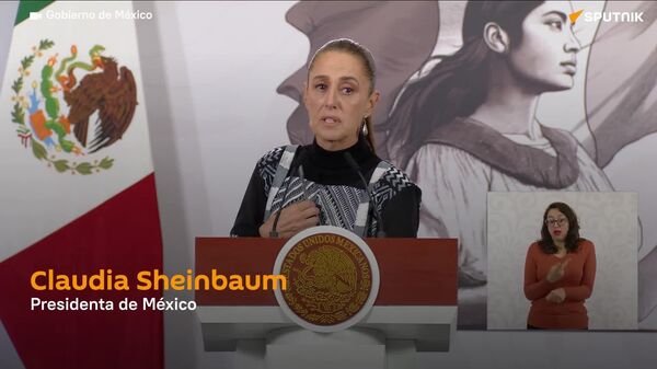 Sheinbaum niega que Ryan Wedding haya sido detenido por México y EEUU de manera conjunta - Sputnik Mundo