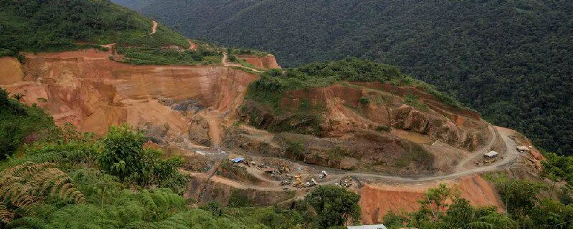 El sector privado en Bolivia invertirá 1 - Sputnik Mundo, 1920, 28.01.2026