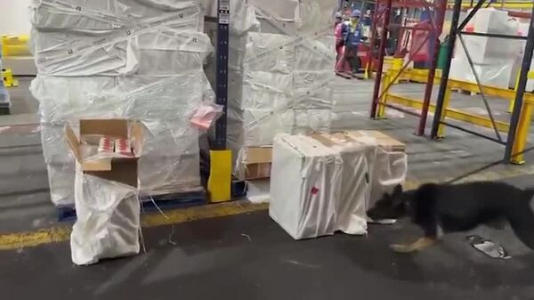 México decomisa 88 toneladas de cigarrillos ilegales - Sputnik Mundo