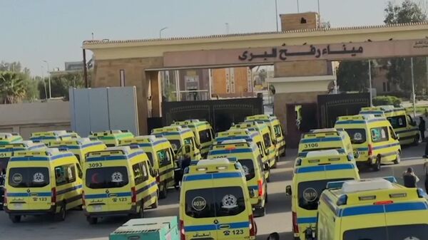 Israel abre el paso fronterizo entre Gaza y Egipto tras casi dos años de cierre - Sputnik Mundo