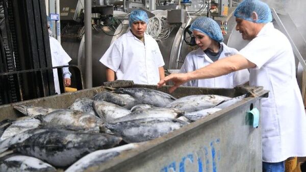 Entran en vigor los aranceles recíprocos entre Ecuador y Colombia - Sputnik Mundo