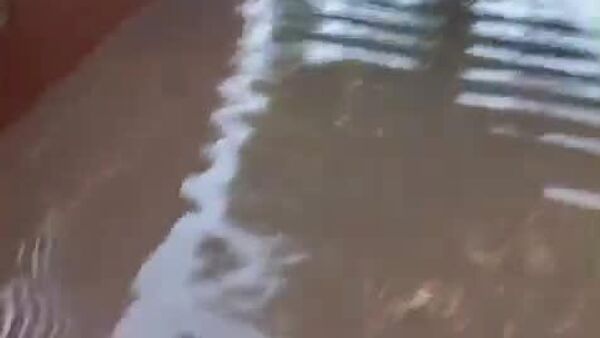 Reportan más de 600 viviendas dañadas en la región metropolitana de Santiago de Chile por las fuertes lluvias - Sputnik Mundo