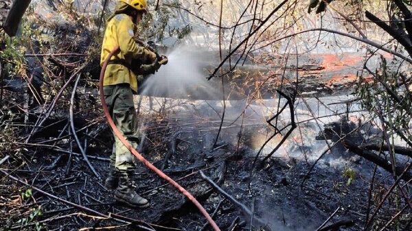 Van más de 40 - Sputnik Mundo