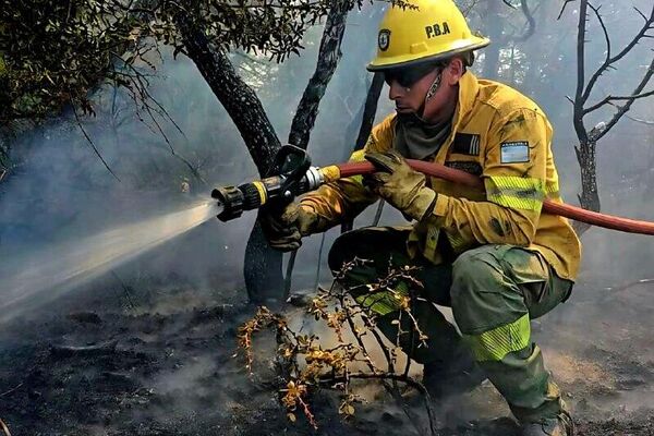 Van más de 40 Van más de 40 - Sputnik Mundo