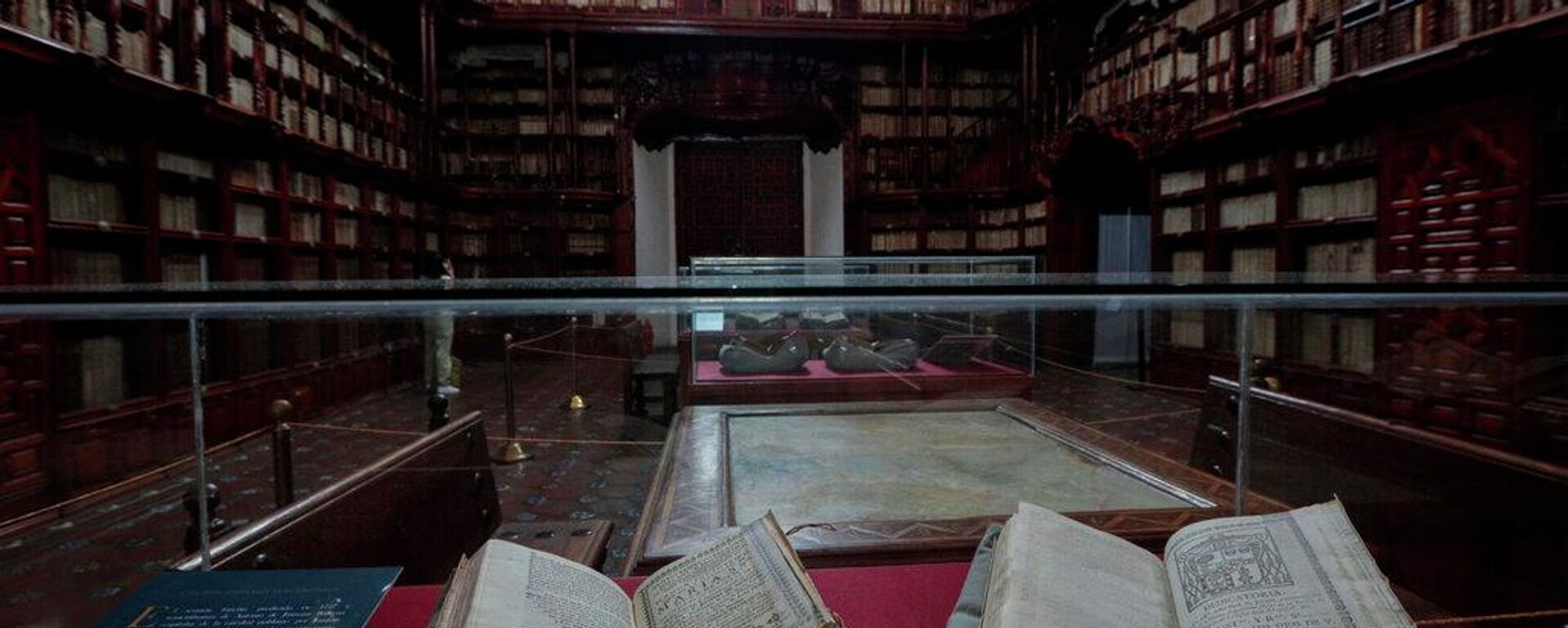 El interior de la biblioteca Palafoxiana, la biblioteca pública más antigua de América, en Puebla, México
 - Sputnik Mundo, 1920, 09.02.2026