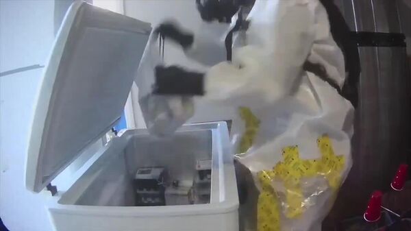 Desmantelan un laboratorio biológico ilegal en Las Vegas - Sputnik Mundo