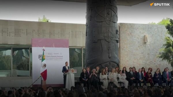 Soy muy optimista para este 2026”: Sheinbaum llama a empresarios mexicanos a mantener inversiones - Sputnik Mundo