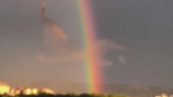 ¿Fake o ilusión óptica? El baile de los estorninos prueba que solo la naturaleza hace el prompt perfecto - Sputnik Mundo