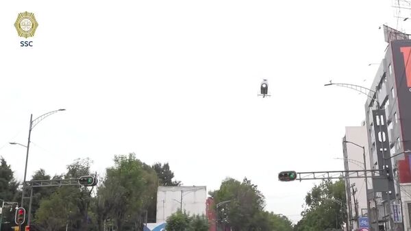 Un helicóptero aterriza - Sputnik Mundo